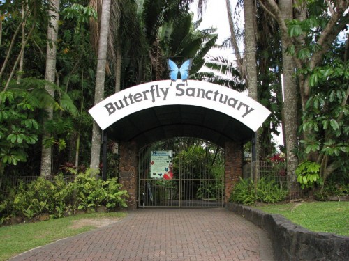 Kuranda Butterfly Sanctuary celebrates 30th birthday