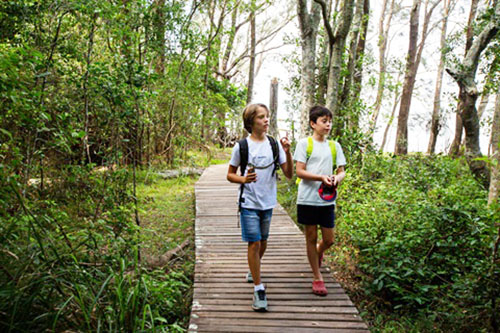 Lake Macquarie new nature trails aim to attract families to explore local wilderness