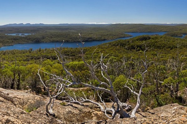 Tasmanian planning tribunal approves Lake Malbena ecotourism development