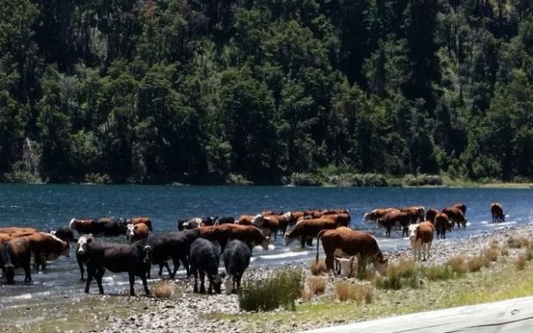 Tourism industry wants improved protection for New Zealand waterways