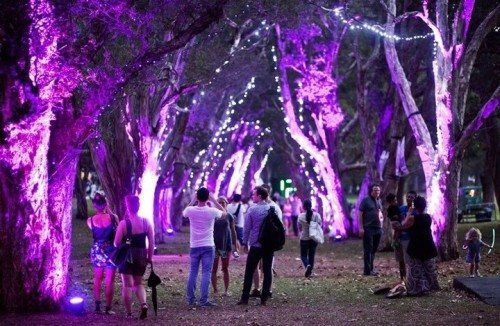 Light Garden to illuminate Sydney’s Centennial Park