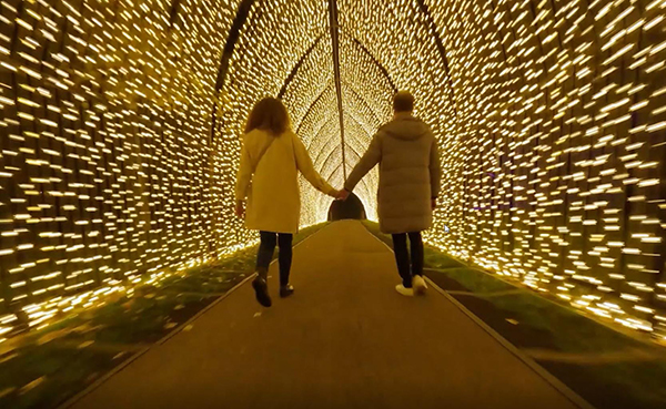 Lightscape attraction makes Perth debut at Kings Park