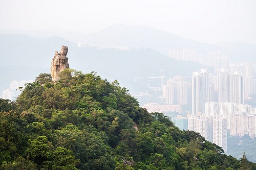 Hong Kong park reopens after dengue fever outbreak
