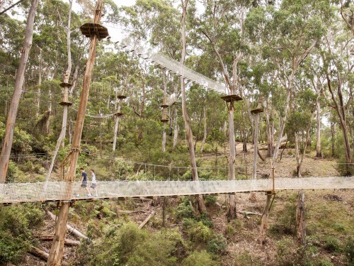 Nature powered adventure park opens in Victoria’s Great Ocean Road region