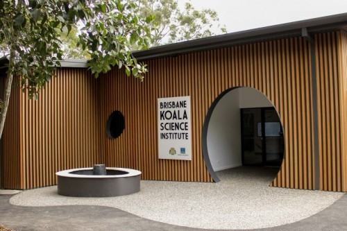 World-class koala research facility operational at Lone Pine Koala Sanctuary