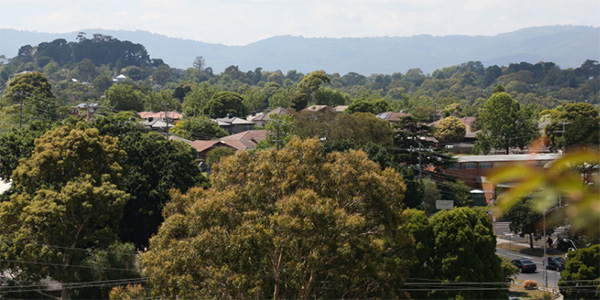 City of Maroondah tree canopy standards aim to retain and grow urban forest