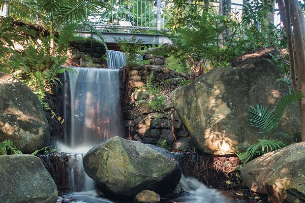 Visitors encouraged to enjoy Mackay Regional Botanic Gardens