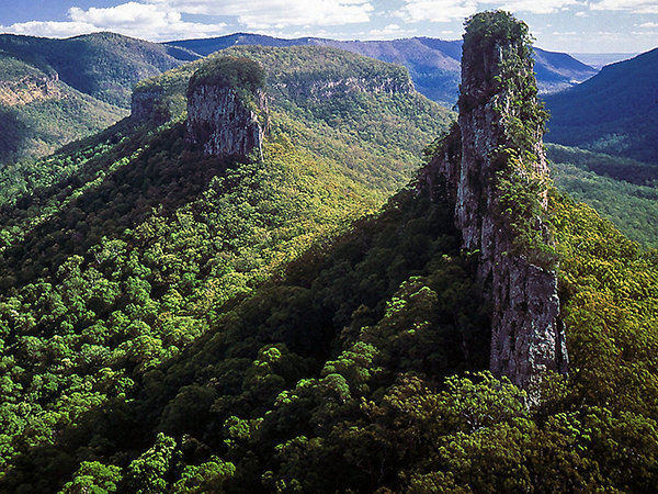 New committee formed to provide strategic advice about Gondwana Rainforests in Queensland