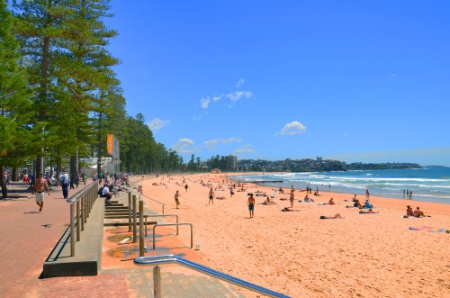 NSW Tourism backs Government action plan