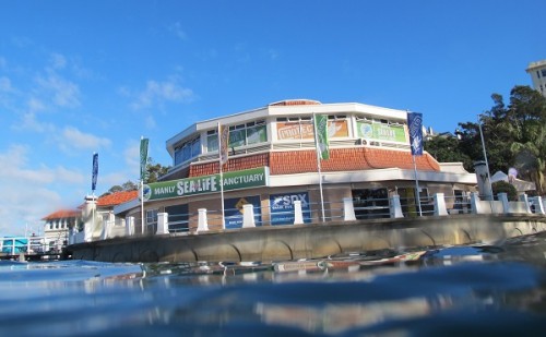 Final days of operations for the Manly Sea Life Sanctuary