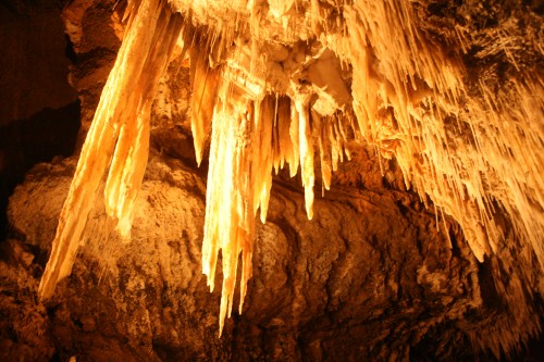 Six months after flooding, Tasmania’s Marakoopa Cave reopens