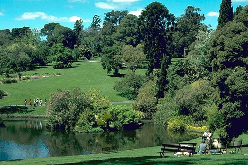 Plan for Melbourne’s Royal Botanic Gardens to attract more visitors