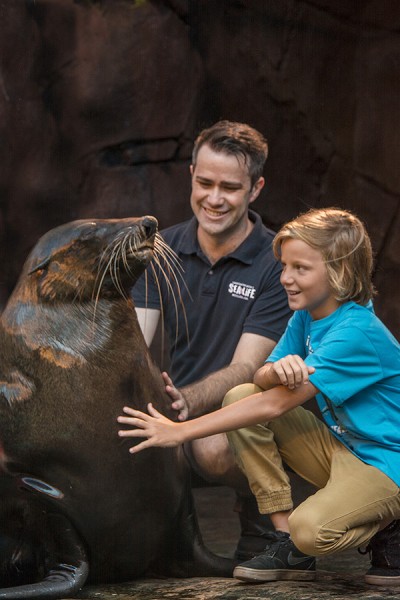 Merlin Entertainments celebrate return of international guests to their Australian attractions