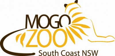 Mogo Zoo Lioness shot dead