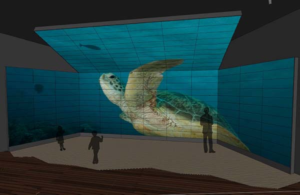 New Mon Repos multimillion-dollar immersive turtle centre set to open