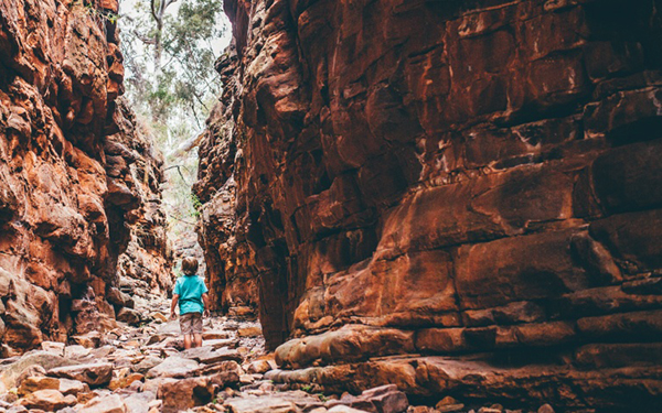 South Australian nature-based tourism destinations to receive funding boost