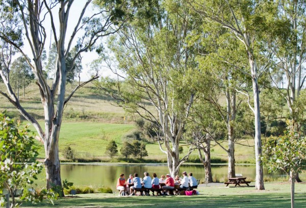 More visitors to NSW’s botanic gardens than ever before