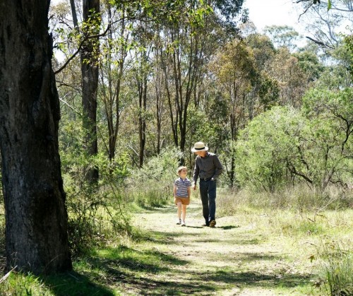 Woodland Walk attraction opens in Western Sydney