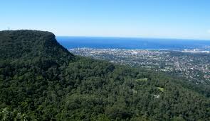 Destination Wollongong plans adventure playground and cable car for Mount Keira