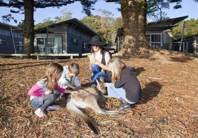 Murramarang Resort rated top Eco-friendly holiday park in NSW