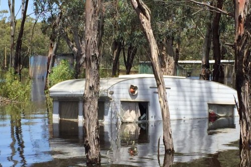 River Murray shacks submerged as floodwaters peak