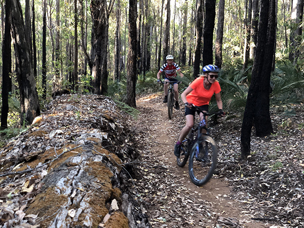 Dwellingup Adventure Trails project sees mountain bike network open in Lane Poole Reserve