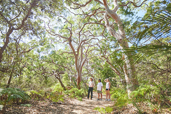 NSW Central Coast secures global green award for growing a sustainable tourism industry