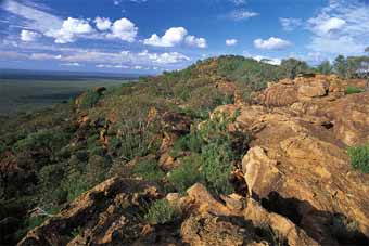 One in five Australian holidays include a national park visit