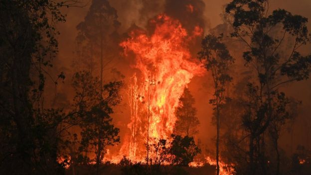NSW declares state-wide national park closures due to extreme fire conditions