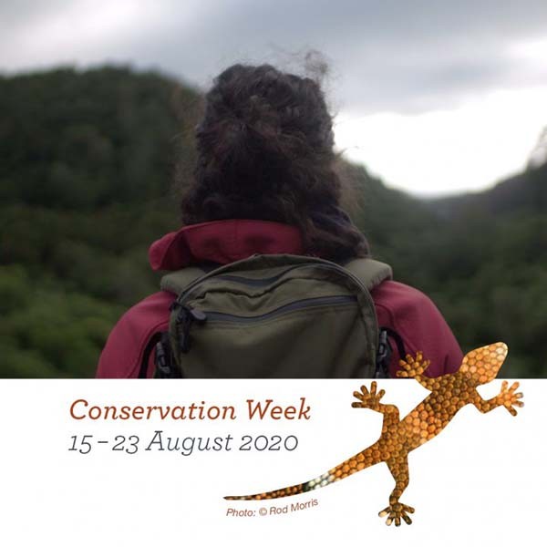 New Zealanders encouraged to focus on wellbeing during Conservation Week 2020