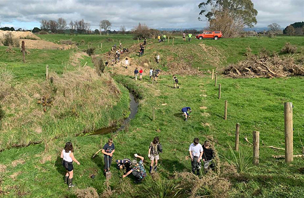 School children contribute to wetland preservation as part of Department of Conservation planting exercise