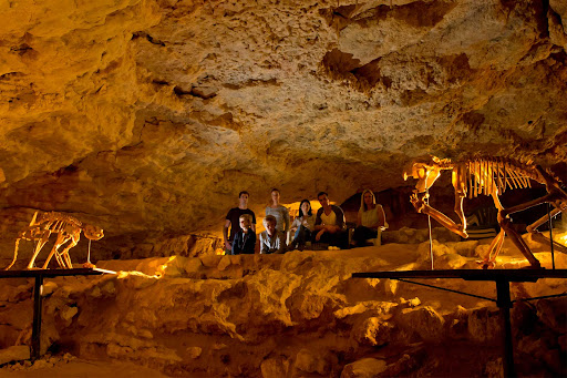 Naracoorte Caves National Park attracts record-breaking number of people