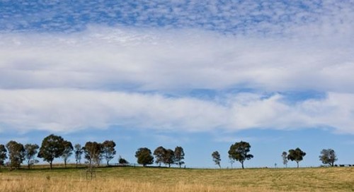 Federal Government undertakes National Landcare Program review