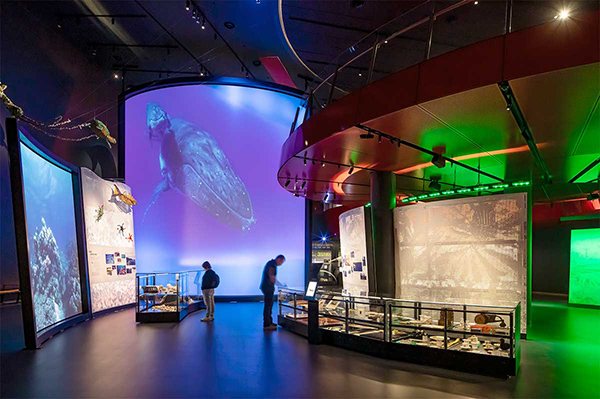 National Museum of Australia launches new environmental gallery and children’s discovery centre