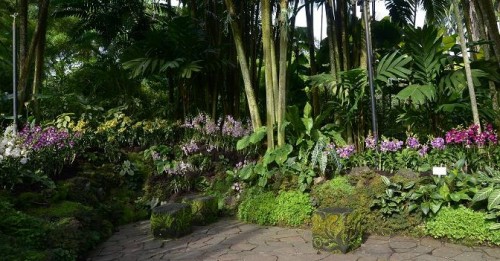Singapore’s National Orchid Garden to benefit from major makeover