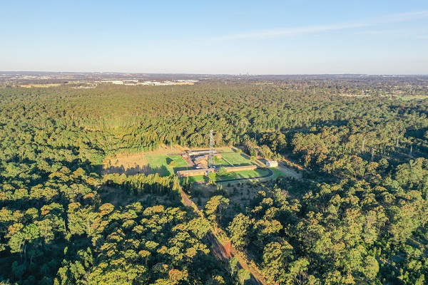 New Western Sydney National Park welcomes return of locally extinct species