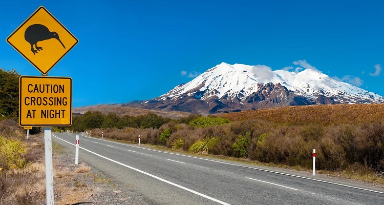 New Zealand tourism industry looks to engage with ambitious new environment plan