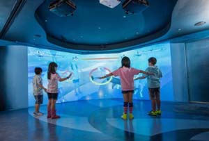 Shark Mystique Aquarium Opens at Hong Kong Ocean Park