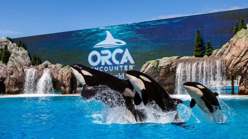 SeaWorld Entertainment releases inaugural corporate responsibility report