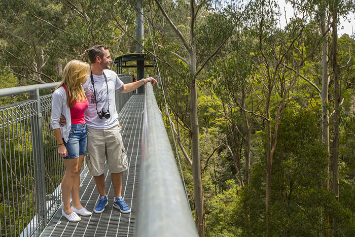 Three days of festivities offered at Otway Fly Treetop Adventures