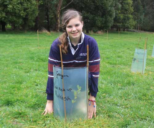 Otway Fly Treetop Adventures lays down the roots for a greener future