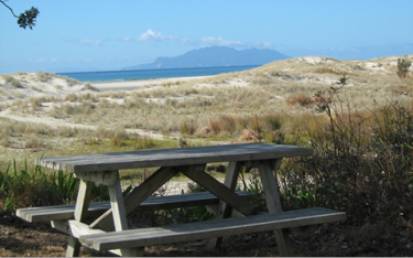 Auckland Council secures new regional parkland