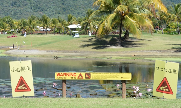 Golfer bitten by crocodile at Clive Palmer owned course in Port Douglas