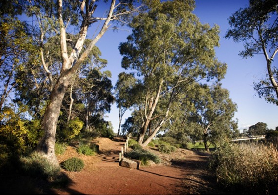Geelong Council invites public input to open space strategy