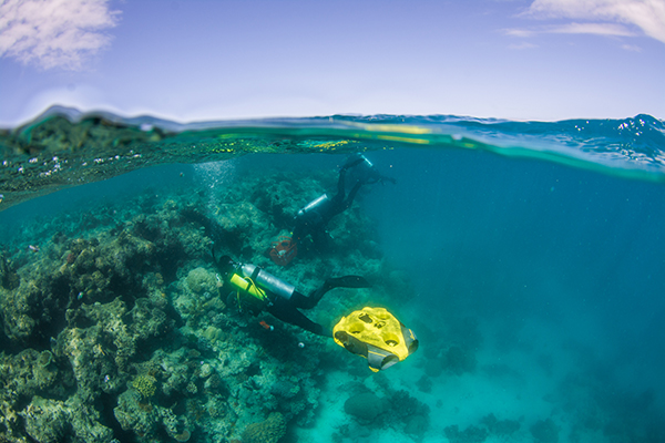 Great Barrier Reef tour company deploys world’s first wireless underwater drone to collect data