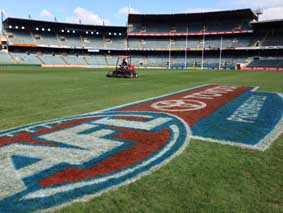 Subiaco Oval secures new naming rights as Domain Stadium