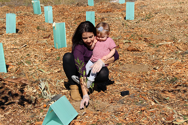 Penrith Council helps restore endangered bushland with ‘Trees for Mum’ community event