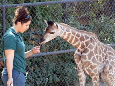 Perth Zoo wins national disability access award