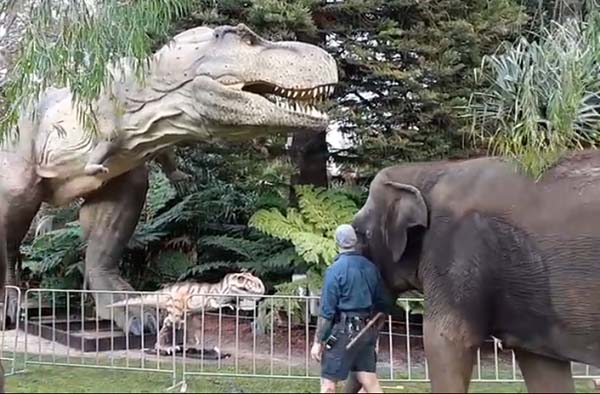Zoorassic attraction contributes to Perth Zoo’s highest recorded annual visitation
