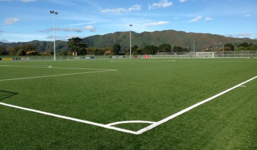 Artificial fields popular with Wellington sport clubs
